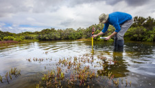A 2019 review commissioned for Defra recommended the creation a National Nature Service
